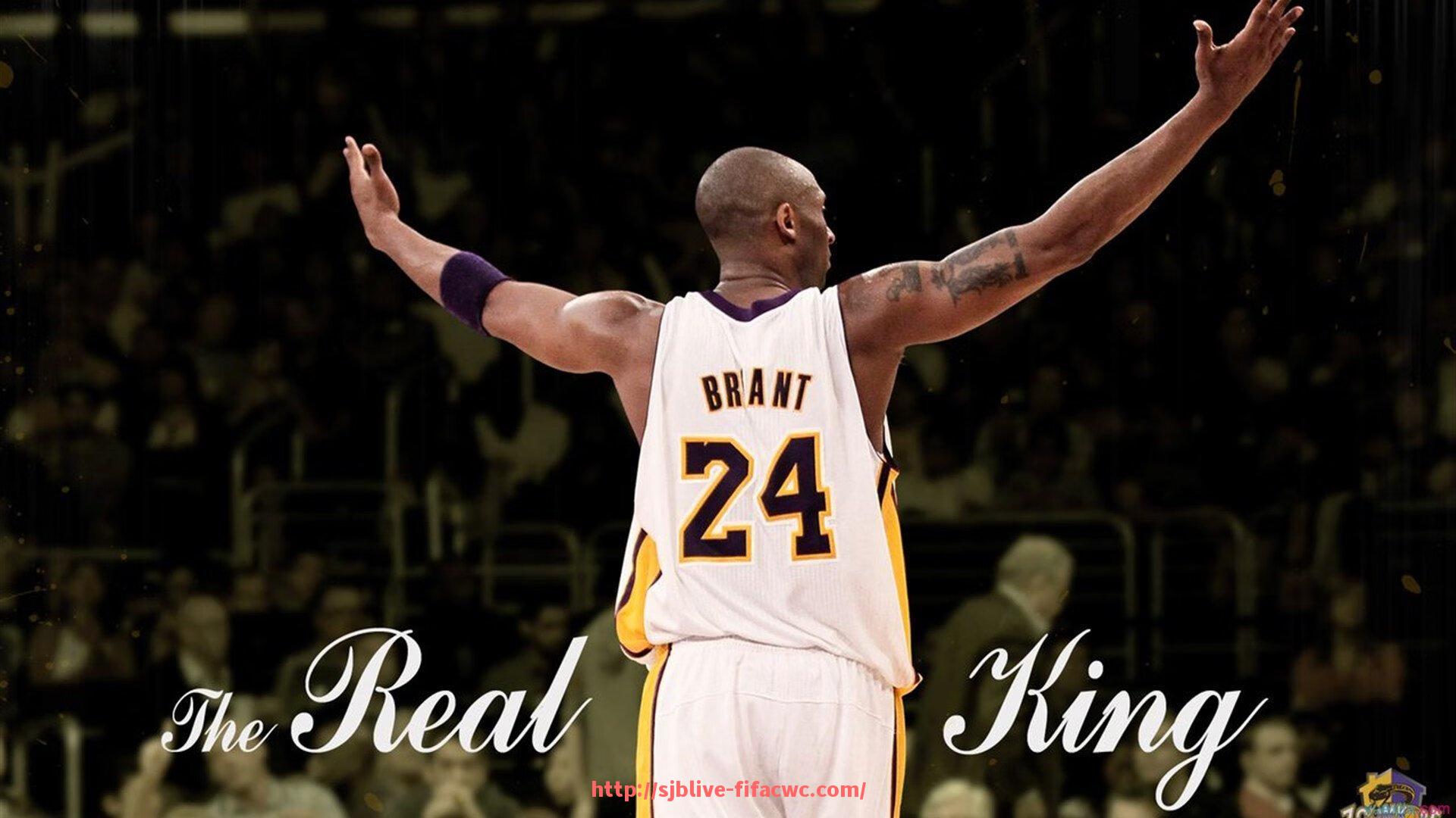 世俱杯直播-健身器材厂家广州哪家好？价格与服务对比